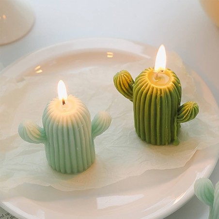 Moule en silicone de bougie cactus