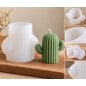 Moule en silicone de bougie cactus