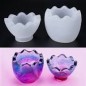 moule en silicone de platre