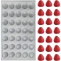 moule en silicone de framboise
