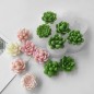 Moule en silicone Mini-roses et succulentes