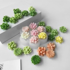 Moule en silicone pour Bougie Mini Cactus