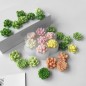 Moule en silicone pour Bougie Mini Cactus
